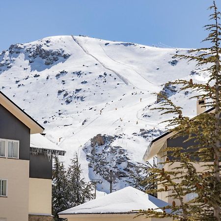Bibo Suites Sierra Nevada Exteriör bild