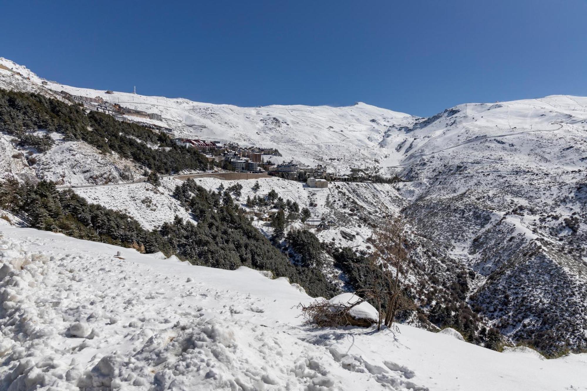 Bibo Suites Sierra Nevada Exteriör bild